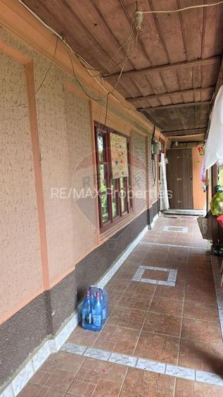 Domeniu rural, gospodarie/multifunctionala cu casa, livada, vie - 32