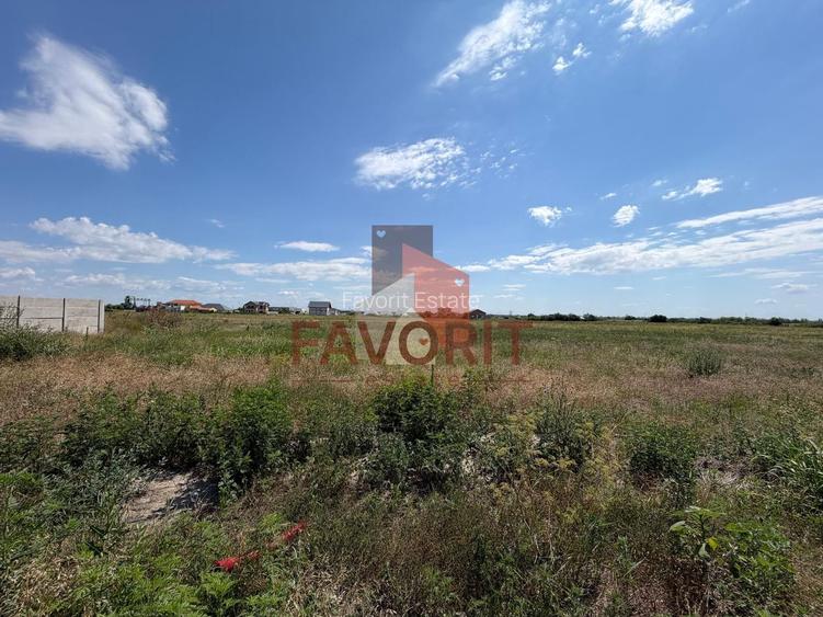 Terenuri in Sacalaz | Investitie | Spatiu comercial | Zona excelenta | - 3