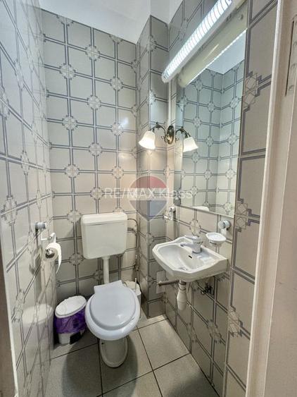 Vila cu 7 camere de închiriat în zona Domenii - 8