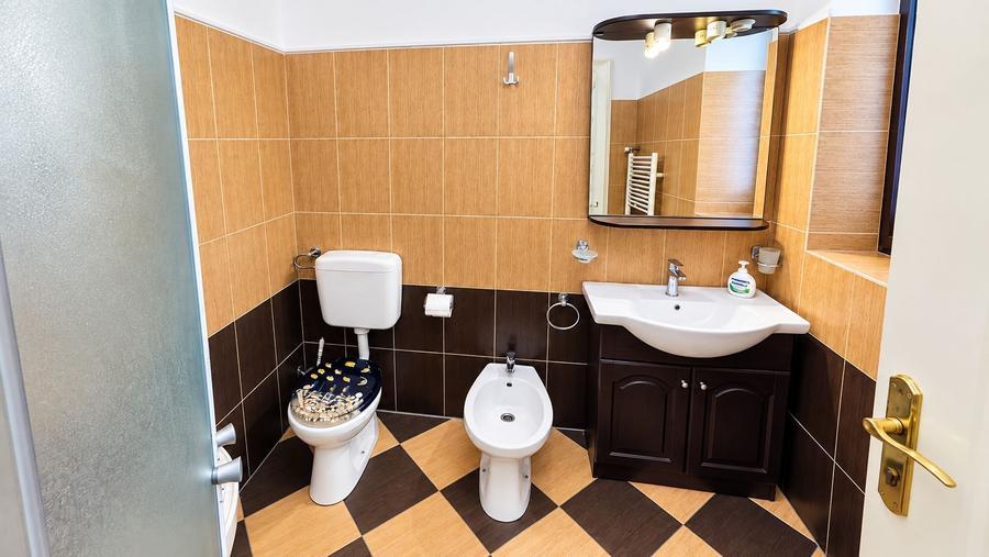 De vânzare/ închiriat Apartament istoric, 2 camere, Central Arad
