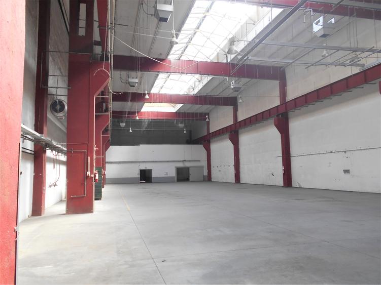 Hală industrială Clasa B disponibilă pentru închiriere Lugoj