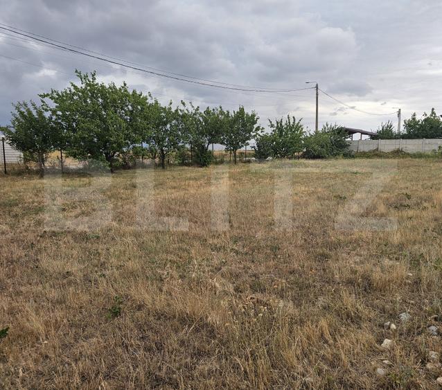 Teren intravilan 762 mp in Carcea