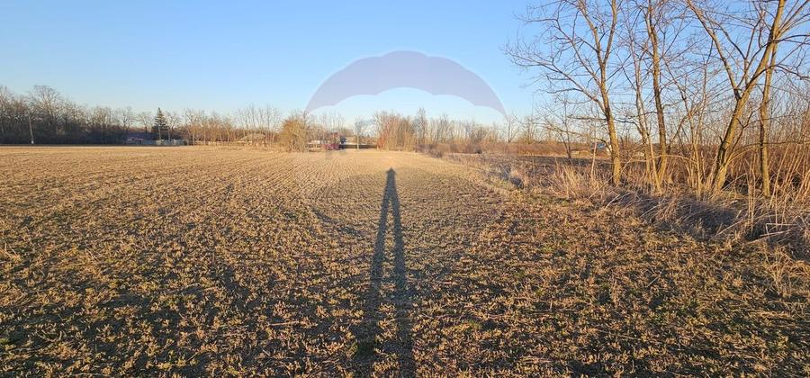 Teren 3,300mp Filipesti / None