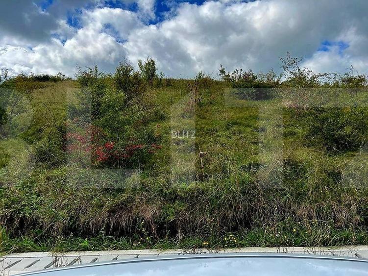 Teren intravilan 1214mp, situat in Chinteni, pentru constructia a 2 unitati - 3