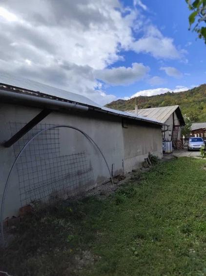Casă cu teren 1.500 mp în Lunca Mare, com. Șotrile – 78.000 € (negociabil)