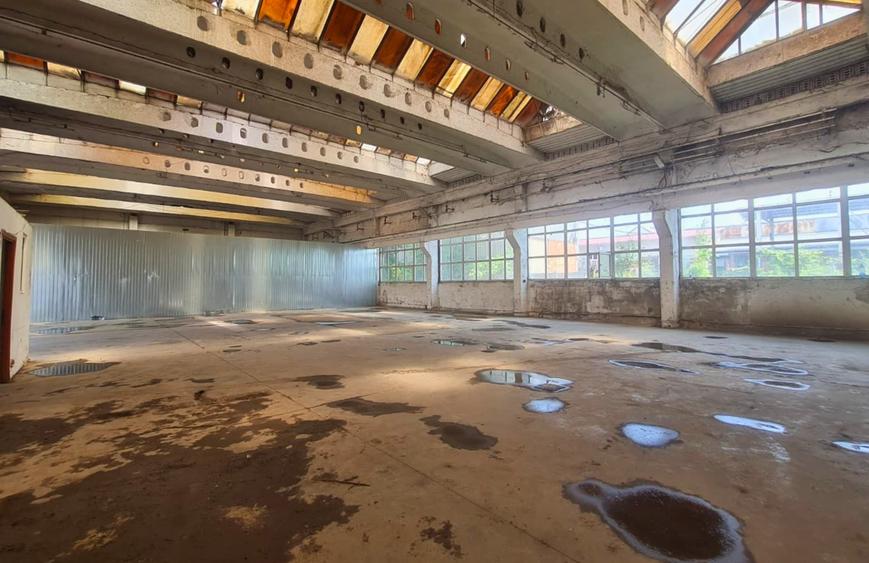 Închiriere Spațiu Industrial Strada Uzinelor – 435 mp