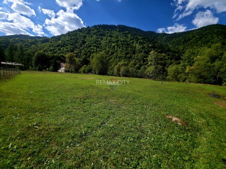 Teren 965mp Cazaci / Strada Principala - 16