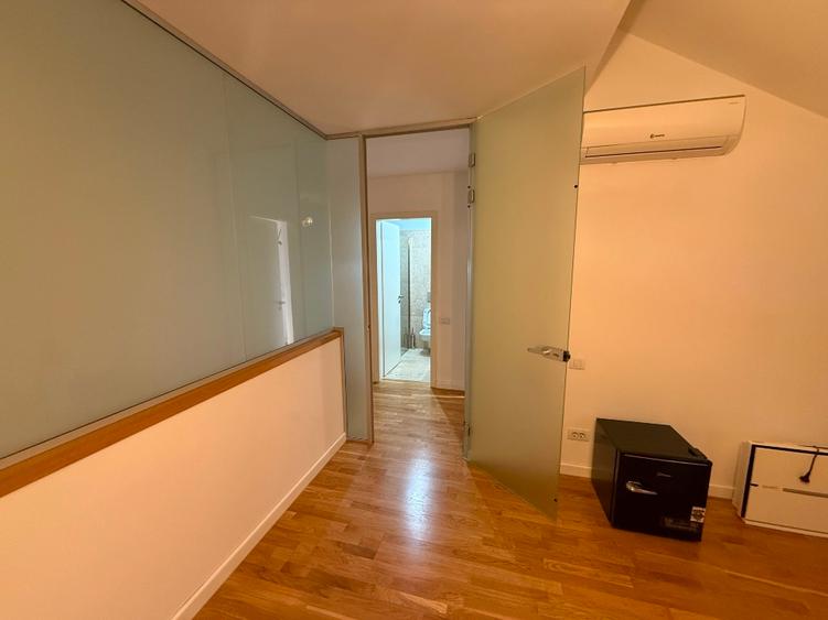 Vila premium - Matei Millo Pipera