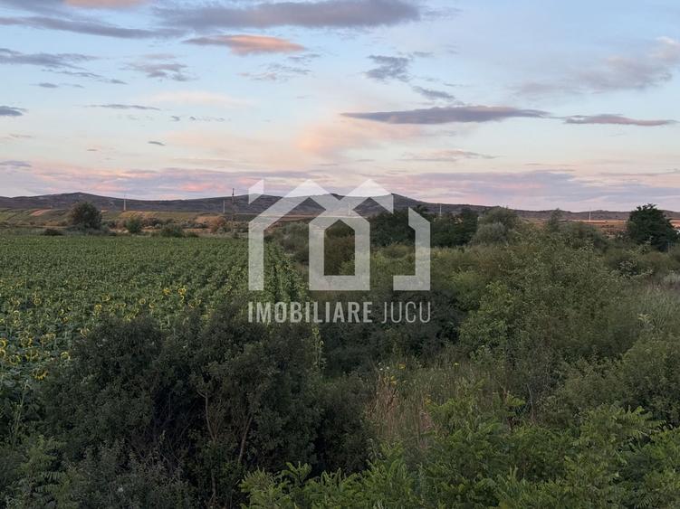 Teren – 7.194 mp | Răscruci – Zona Tetarom