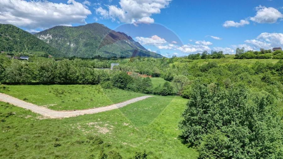 Teren 500mp Tohanita (intre castelul Bran si Zarnesti), padure + parau