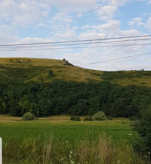 Exclusivitate! Teren intravilan in Luna de sus!