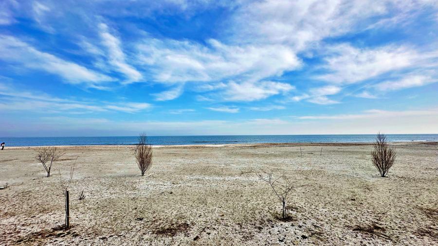 MAMAIA NORD - STUDIO - SIGNATURE PROMENADA - 51.3 MPT - Comision 0%
