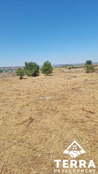 Palazu Mare, teren 406mp