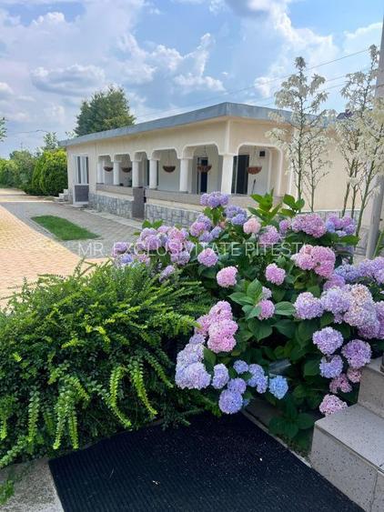 Casa visurilor cu 4000 mp livada roditoare si gradina Darmanesti-Arges - 27