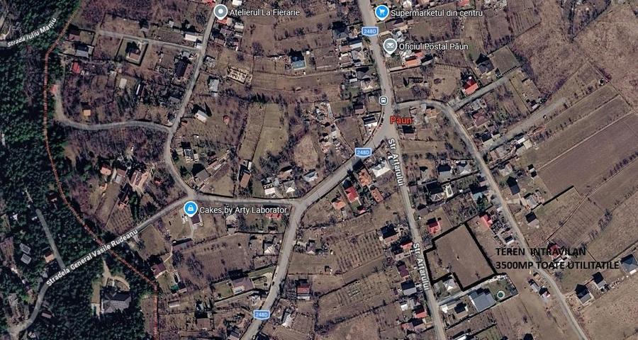Teren 3500mp Paun Bucium la asfalt cu toate utilitatile