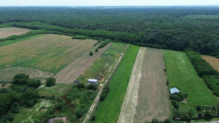 OCAZIE - Teren Intravilan - 8300 mp, Gruiu - Padurea Snagov