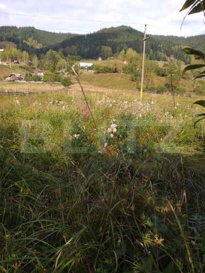 Teren intravilan de 7.500 mp în Vatra Dornei – oportunitate pentru investiție