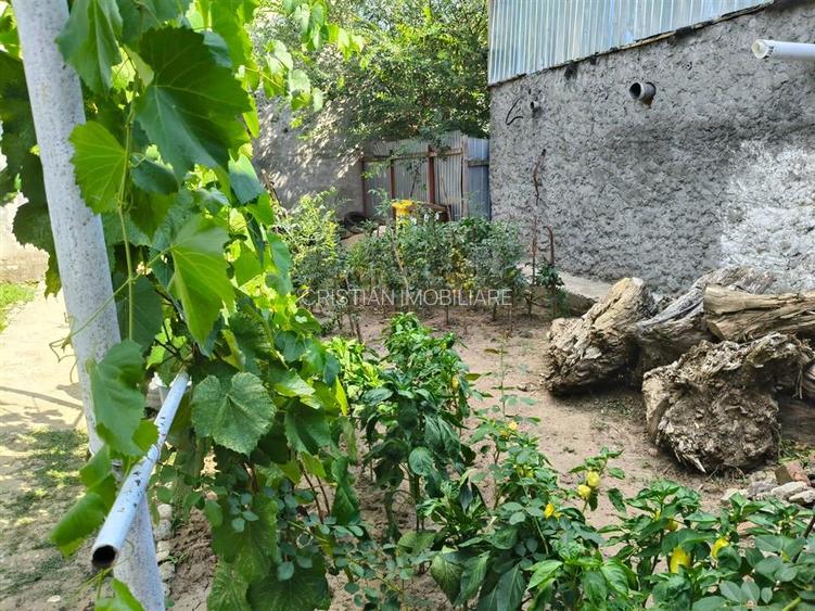 Casa 4 camere, Radu Negru - Buzaului, Teren - 264 mp - 11
