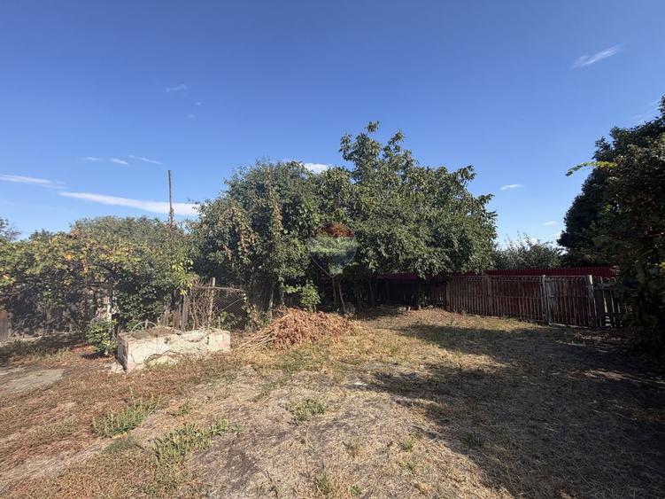 Casă in Tifesti cu teren agricol si padure