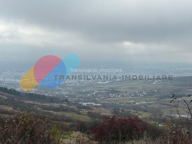 Teren extravilan 1000 mp, Valea Fanațelor - 4