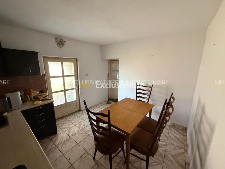 Casa de vânzare in Livada , Satu Mare - 54