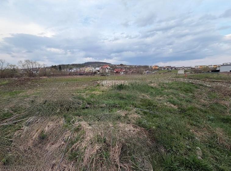 17.000 mp teren intravilan + hale 2.000 mp-Drumul Tărpiului Zona LEONI BISTRITA - 3