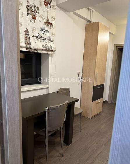 De Închiriat Garsonieră Modernă  Unirii- Alba Iulia, Centrală, Curte - 10