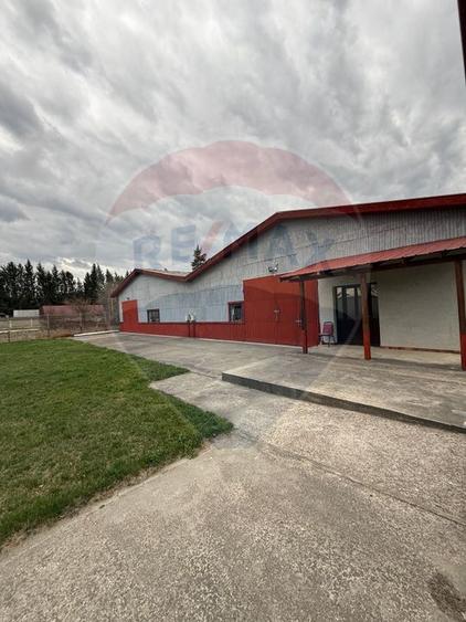 Hală industrială cu birouri si teren Gura Humorului