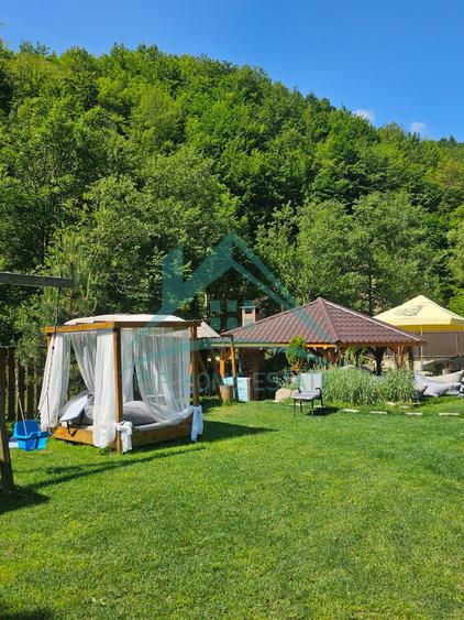 De vanzare, cabana turistica cu restaurant, piscina , si spatiu de cazare!