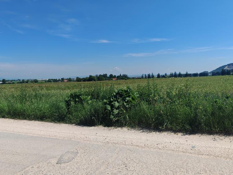 Teren industrial CRISTIAN - in spate la Ina Schaeffler, vizavi de Agricola