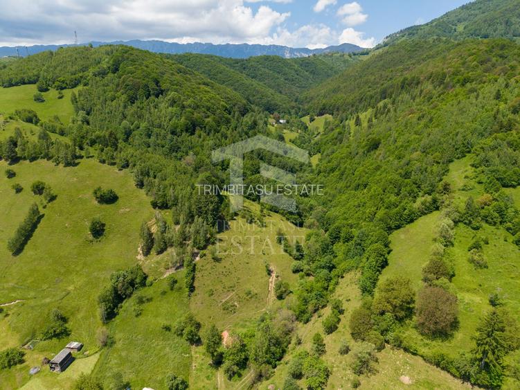 Moieciu de Jos |Teren 11.381 mp | Panoramă, potențial turistic - 9
