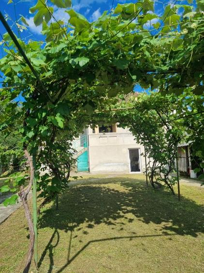 Casă cu etaj, 4 camere + hol, teren 1.500 mp — sat Bărcanele, com. Păușești