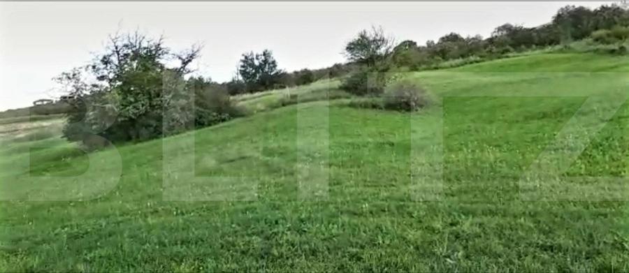 Teren intravilan ,4039 mp,in cartierul Borhanci