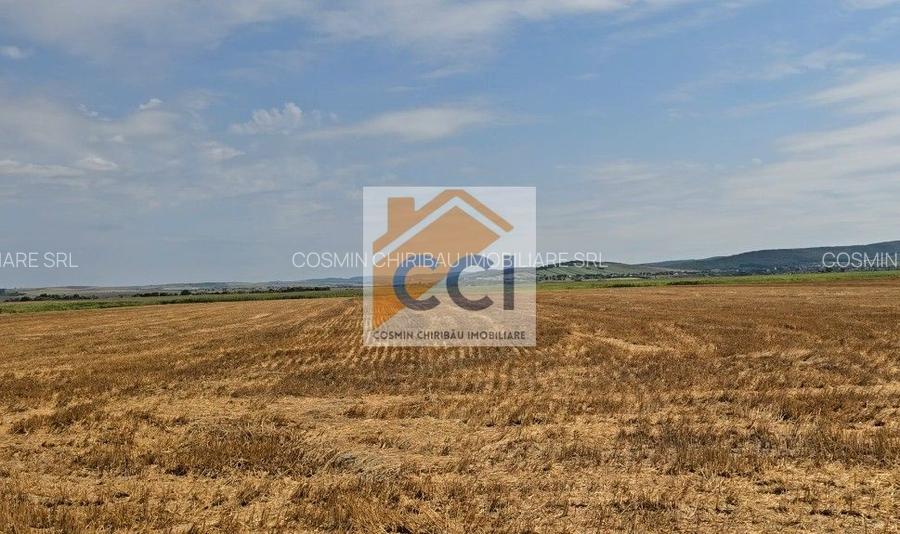 Teren intravilan– 50.000 mp, Bacău, Șoseaua Hol - 9