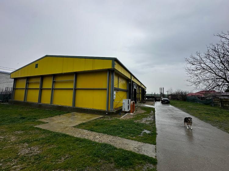 Fabrica de procesare peste si crustacee - Proprietatea Imobiliară Industrială