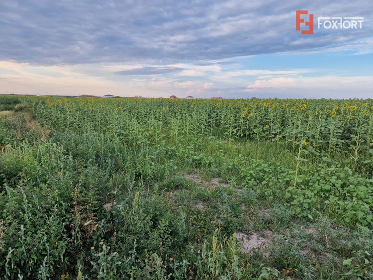 Teren intravilan de 2100 mp de vanzare in Remetea Mare