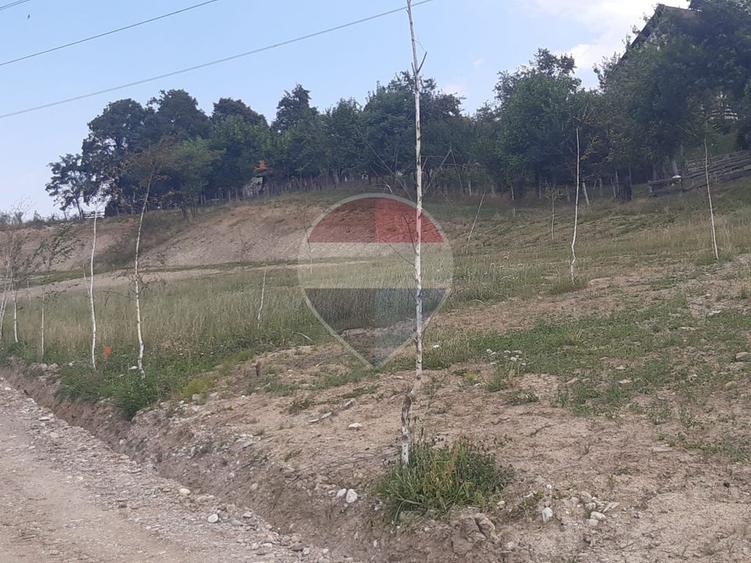 Teren 1,000mp Sohodol, cu utilitati / Strada Sohodol
