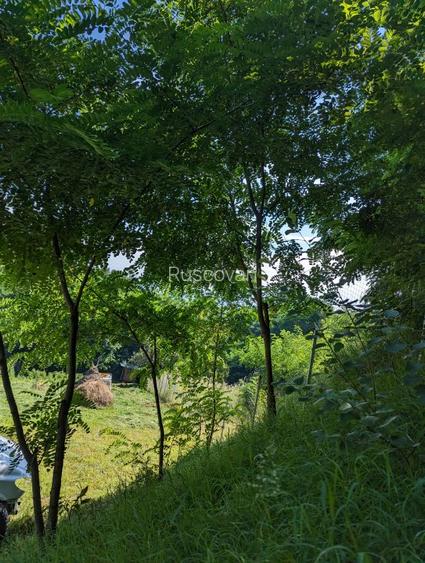 teren unic - 2.200 mp, panoramă Cluj, intravilan, în curs de autorizare! - 4