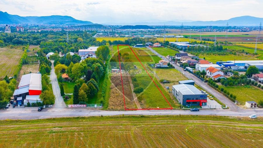 Teren intravilan 11.769 mp | Langa Centura BV – Str. Livezii | Oneves - 4