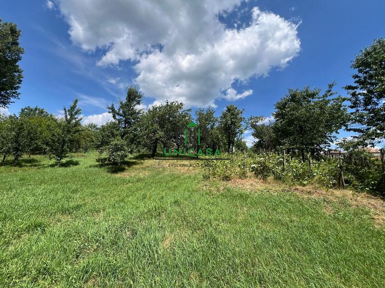 Teren Fedelesoiu/3200 mp/Intravilan