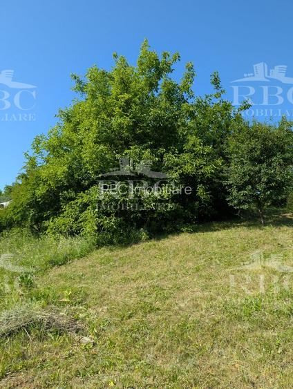 Teren intravilan 4600 mp cu front de 25 m pe strada Odobesti - 3