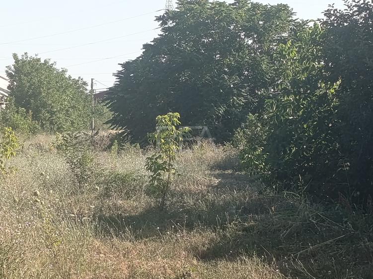 LOT COMASAT 31.136 MP - POPESTI-LEORDENI - PUG 2024 - ZONA L1
