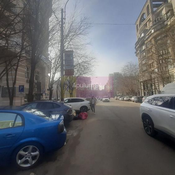 Spatiu Comercial Stradal Șoseaua Colentina zona Teiul Doamnei Suveica - 29