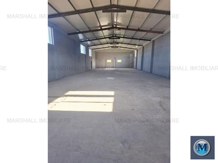 Spatiu industrial de inchiriat, zona Exterior Sud, 468 mp #16662