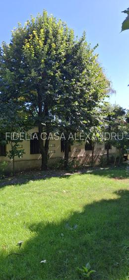 Vila de vanzare 9 camere de vanzare, Centru Civic - Iasi
