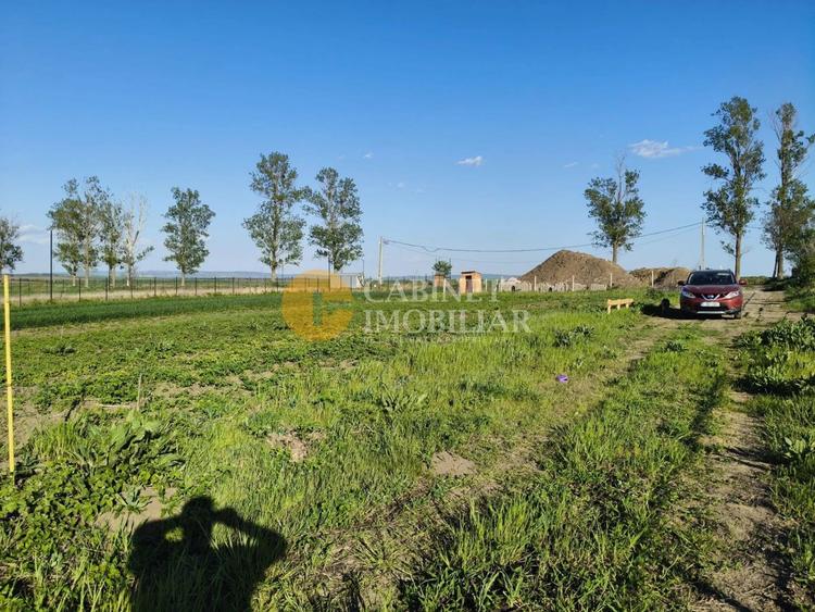 🌳 Teren Intravilan iesire Vorovești - 500 mp - 20.000 Euro 🏡