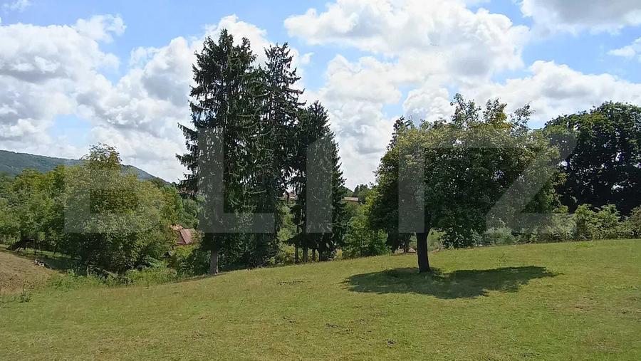 Cabana cu teren intravilan 18.449 mp – Paingeni | 7,5 €/mp | Vedere panoramică