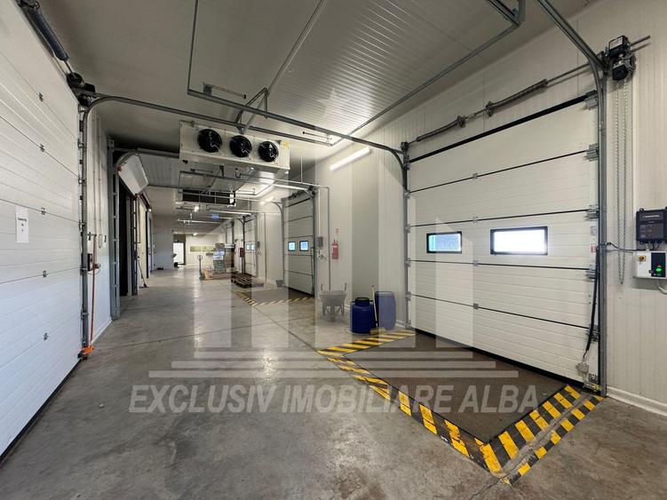 Spatiu industrial frigorific | 1200 mp | 8 m inaltime | 6000 mp teren