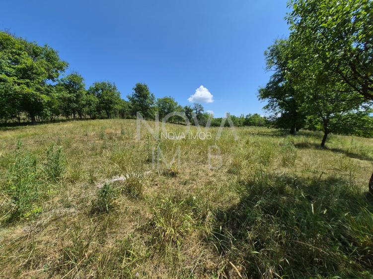 Casa individuala cu teren generos – 8.356 mp – Tichindeal, jud. Sibiu - 43