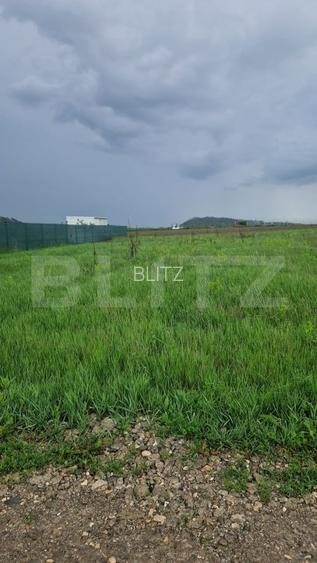 Teren pentru casa intravilan , 800 mp deschidere la drum Bod - 6